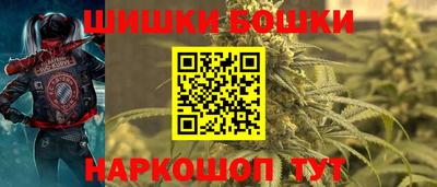 гашик Будённовск