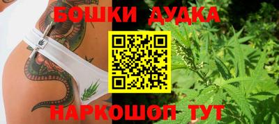 гашик Будённовск