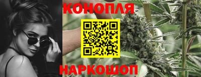 гашик Будённовск